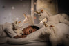 A child sleeps peacefully in bed, cuddling a Steiff Unica Unicorn Stuffed Plush Toy (11 Inches), while other golden-horned unicorn plush toys surround her and stars shine on the wall, creating a magical atmosphere.