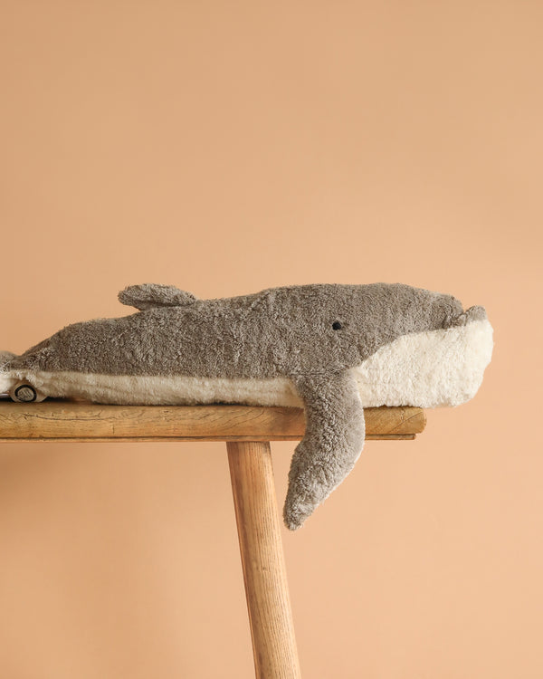 The Senger Naturwelt Cuddly Animal - Whale, a handmade plush toy of organic cotton with a gray top and white underside, sits on a wooden stool against a plain beige background.