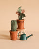 The Maileg Gardening Set, featuring three small potted fabric plants in miniature pots and a green watering can, is displayed on a light beige surface with one plant elevated like mouse furniture against a plain beige background.