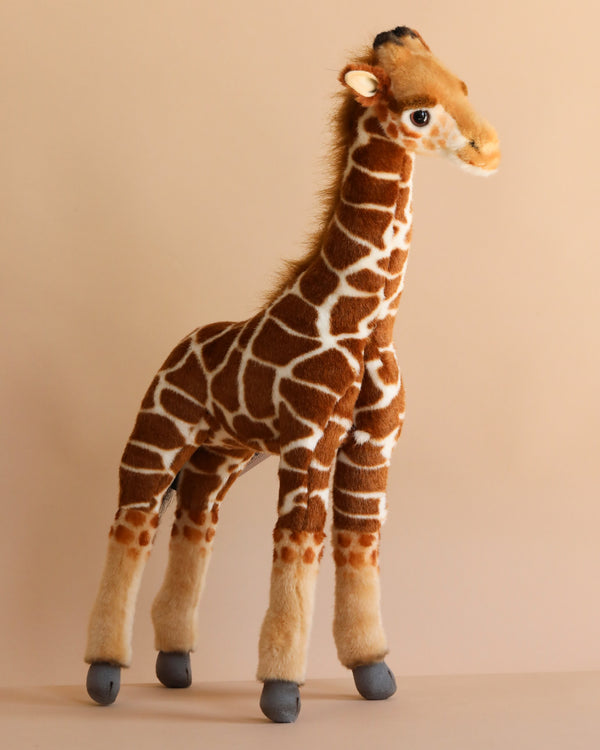 The Baby Giraffe Stuffed Animal features a brown and white patterned body, beige face, and gray hooves, standing against a plain light beige background. Its realistic design is inspired by lifelike HANSA animals.