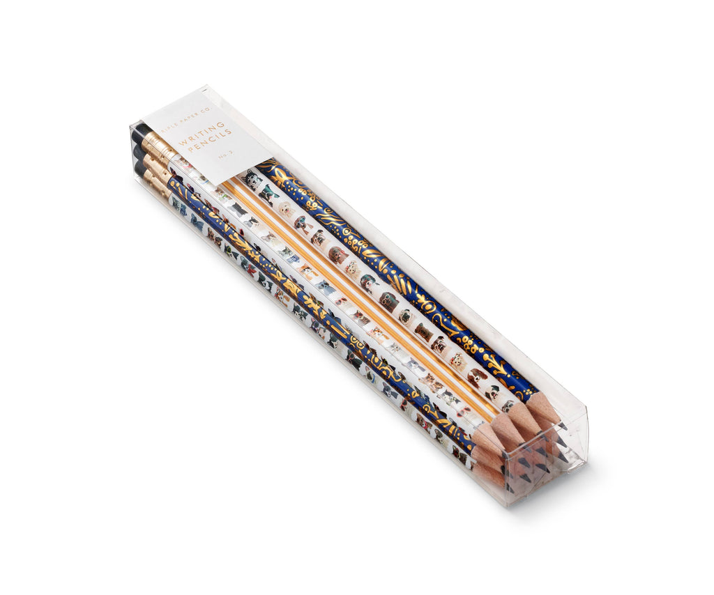 The Cats & Dogs Pencil Set includes six wooden pencils with colorful, illustrated designs in a clear box, featuring a small white label on the corner.