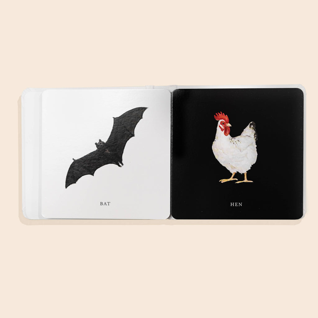 The Baby's Tummy Time Book Box Set features high-contrast artwork, including a black bat on white labeled "BAT" and a white hen on black labeled "HEN," ideal for supporting your baby’s visual milestones.