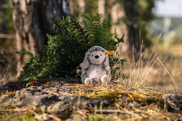 The Steiff Hedgy Hedgehog 6" sits on a mossy rock in a sunlit forest, surrounded by green ferns and tall trees.