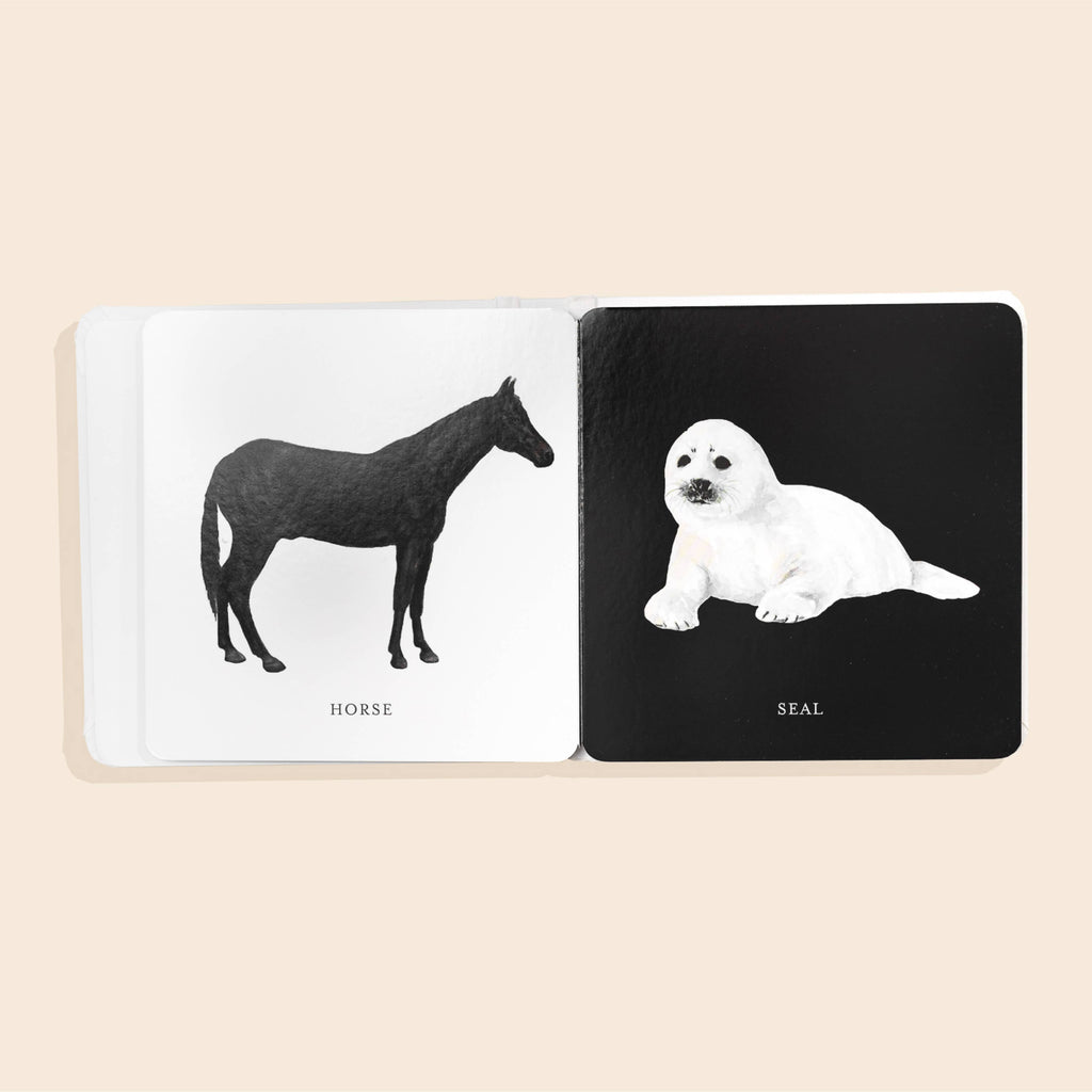 The Baby's Tummy Time Book Box Set features high-contrast developmental board books, showing images like a black horse on white labeled "HORSE" and a white seal on black labeled "SEAL," supporting baby's visual milestones.