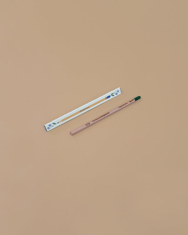 The Forget-Me-Knot Plantable Pencil – Eco-Friendly features a brown pencil with a green eraser and white-blue box, displayed on beige. It makes a perfect sustainable gift containing forget-me-not seeds for planting.