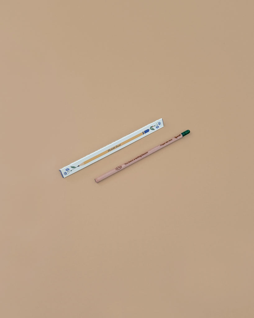 The Forget-Me-Knot Plantable Pencil – Eco-Friendly features a brown pencil with a green eraser and white-blue box, displayed on beige. It makes a perfect sustainable gift containing forget-me-not seeds for planting.
