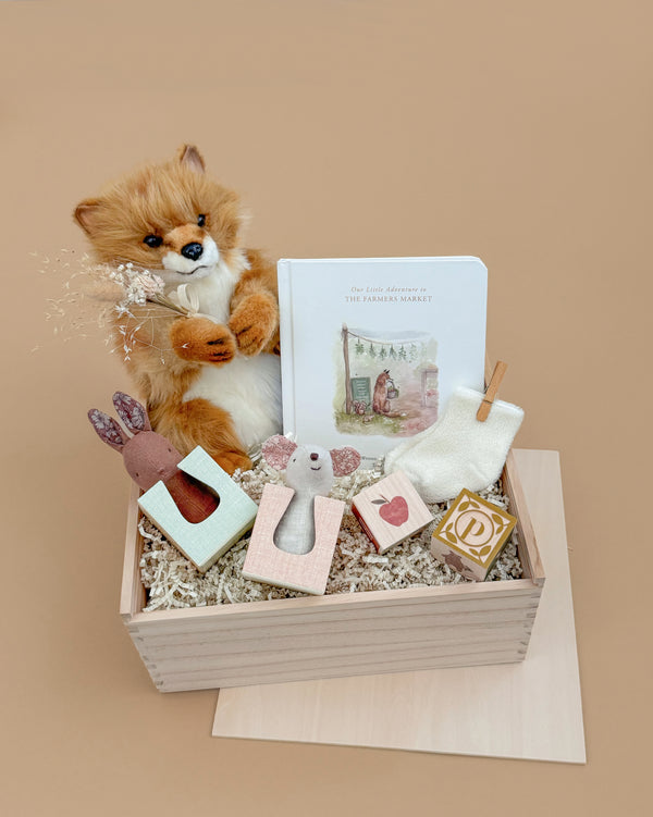The Newborn Gift Set includes a plush fox, a children’s board book, toy rabbit, toy mouse, watercolor ABC blocks, soft pouch, and decorative straw—all beautifully arranged on a beige background.