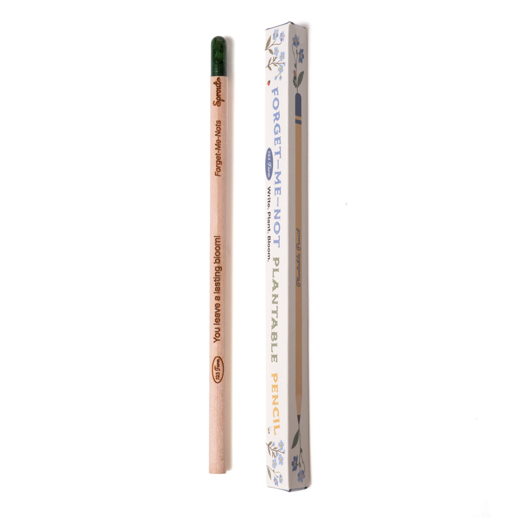 The Forget-Me-Knot Plantable Pencil – Eco-Friendly is a wooden pencil with a green tip, shown beside its floral box. It contains forget-me-not seeds and features "You bring sunshine & bloom." A perfect sustainable gift for any occasion.