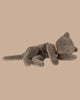 The PRE-ORDER: Sleeping Kitten Plush, Medium - Grey features closed eyes and a brown collar, lying on its side in a relaxed pose against a beige background. Made from soft recycled polyester. Estimated Ship Date: Late November.