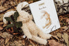Harey the Bunny, a plush toy with embroidered details, rests on fallen leaves beside a book titled "Bun Bun," featuring a similar illustration. The scene has a vintage vibe with surrounding greenery and a tree trunk in the backdrop.