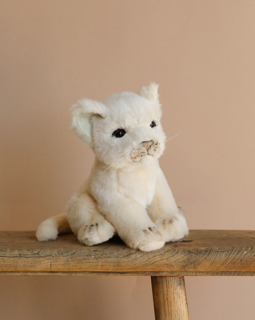The Lion Cub Sitting Stuffed Animal, with realistic features, light beige fur, and dark eyes, sits on a wooden stool against a plain beige background.