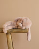 A Maileg Plush Sleeping Bunny - Powder, crafted from soft cotton fabric, reclines on its side on a wooden stool against a beige backdrop, gently holding a matching flower.
