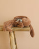 The Maileg Plush Sleeping Bunny - Soft Brown, a cotton rabbit with floppy ears, rests on its side like it’s sleeping. It balances on a wooden stool and wears a gray ribbon around its neck against a plain beige backdrop.