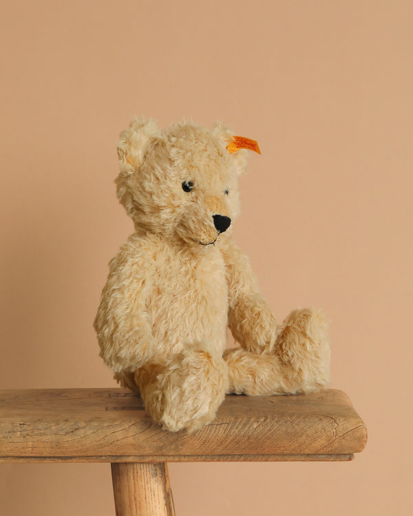 A Steiff Teddy Bear - 12", with a plush coat and stainless steel "Button in Ear," sits on a rustic wooden bench against a plain beige background.