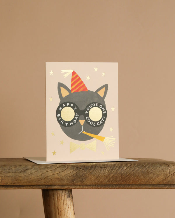 The Birthday Cat Card shows a black cat in a red party hat and yellow bow tie, with gold foil stars and "Happy Birthday, You're One Cool Cat!" on the front. The card is blank inside for your personal message.