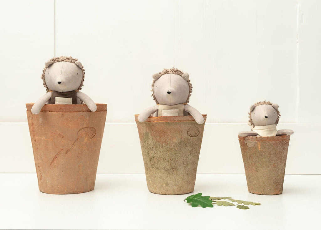 Three plush Poppet The Baby Hedgehogs rest in assorted rustic plant pots in a row on a white surface. Two leaves add charm to this miniature garden scene against a plain white wall.