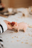 A person feeds a Handmade Wooden Pig on a white cloth-covered table. Crafted with child-safe paint and handmade in Serbia, the charming pink toy is inviting as the person's hand gracefully offers grains amid scattered seeds.