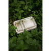 A stainless steel lunchbox with separated compartments, labeled "Haps Nordic - Stainless Steel Lunch - Two Compartments," is nestled among green foliage. The box has a shiny metallic finish and is surrounded by various leaves and plants, creating a natural and eco-friendly aesthetic.