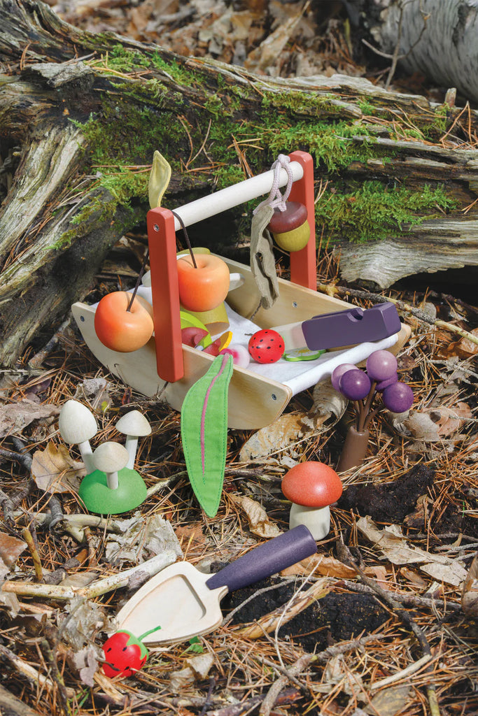 The Wild Wood Foraging Trug features a wooden play set in a forest scene with a toy basket, colorful mushrooms, fruit, and a shovel. A fabric pea pod rests among foraged plants on ground covered with dried leaves and pine needles, while a mossy log adds to the tranquil backdrop.