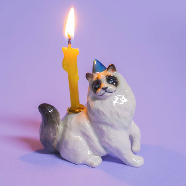 The Ragdoll Cat Cake Topper, featuring a porcelain cat with a blue party hat and lit yellow candle on its back, is ideal for cat-themed parties. With a light purple background, it adds charm to any celebration.