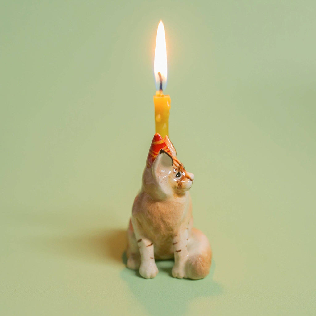 The Maine Coon Cat Cake Topper, perfect for cat-themed parties, features a small figurine with a party hat and a lit birthday candle on its back against a light green background.