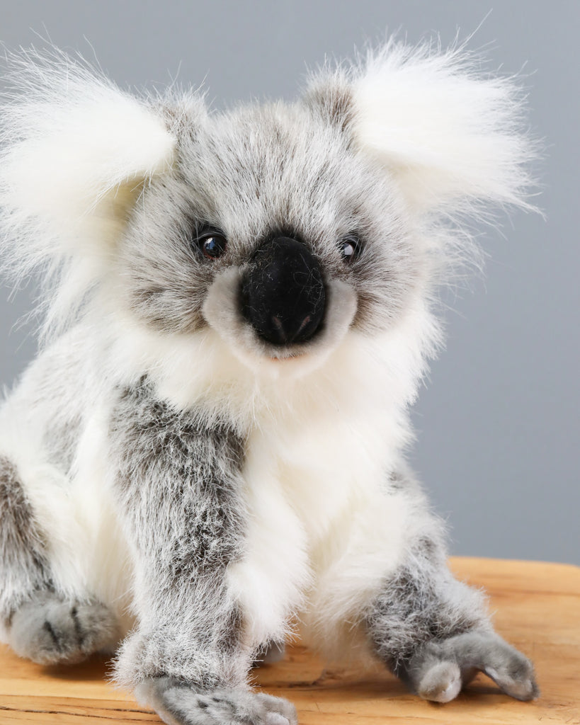 koala stuffed animal